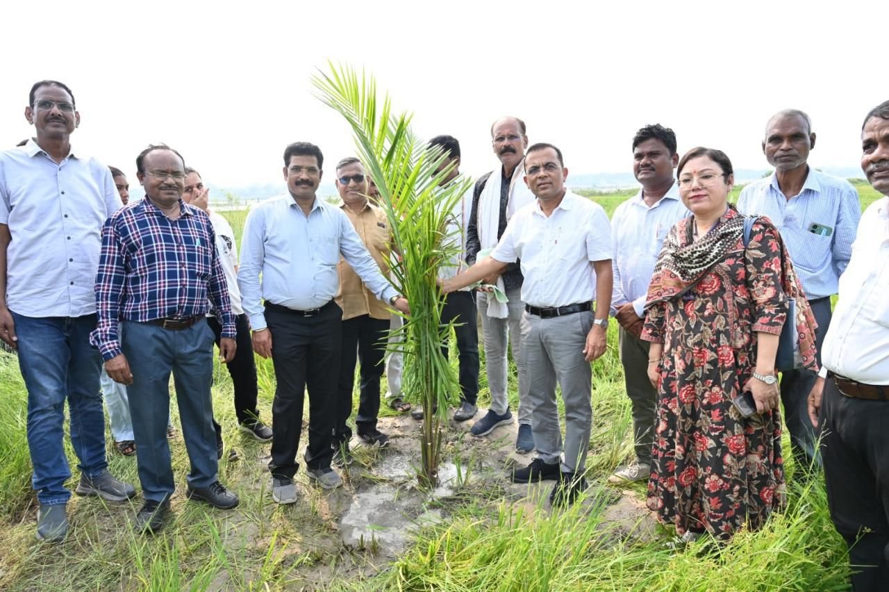 CG Agriculture News : कलेक्टर जन्मेजय महोबे पहुँचे ऑयल पाम के खेत, किसानों को दी स्थायी आमदनी की राह