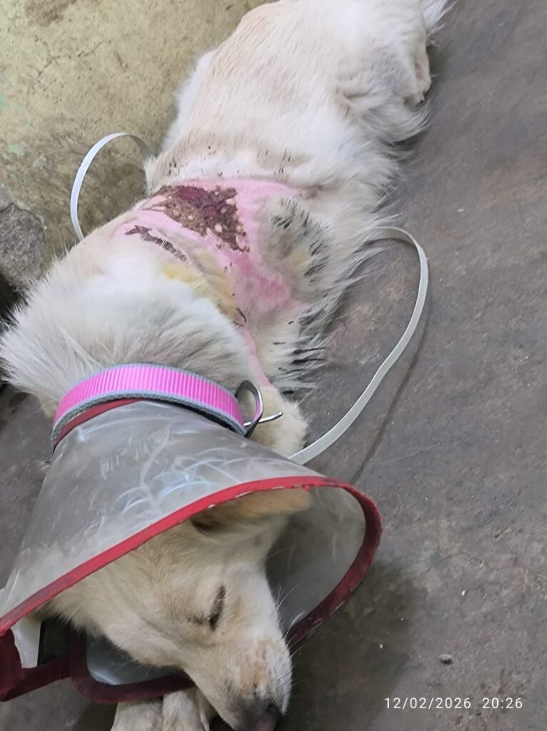 img-20260224-wa08899156295920528361188