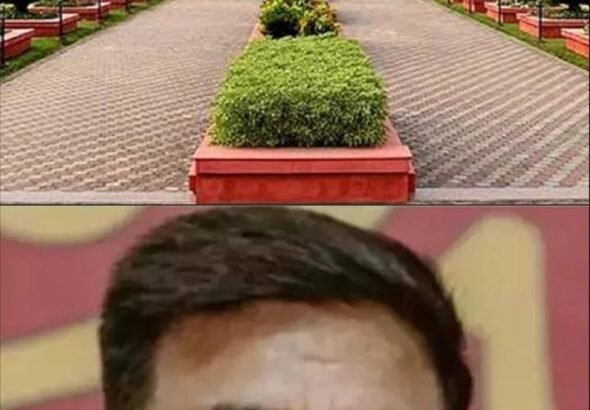 img-20260303-wa13682832453655333628181